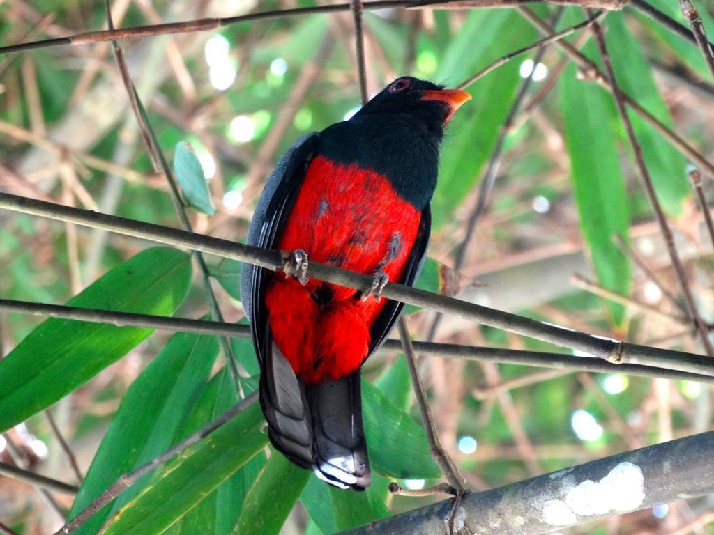 Green Corner カウイータ エクステリア 写真