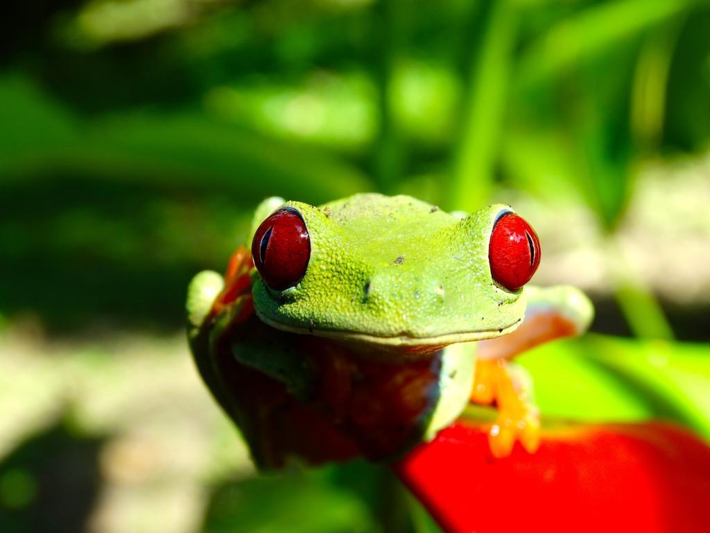 Green Corner カウイータ エクステリア 写真