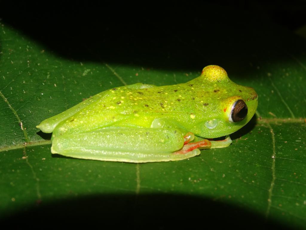 Green Corner カウイータ エクステリア 写真